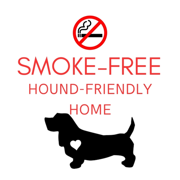 CoComelon Rashguard and Swim Trunk Set - Picture 15 of 16